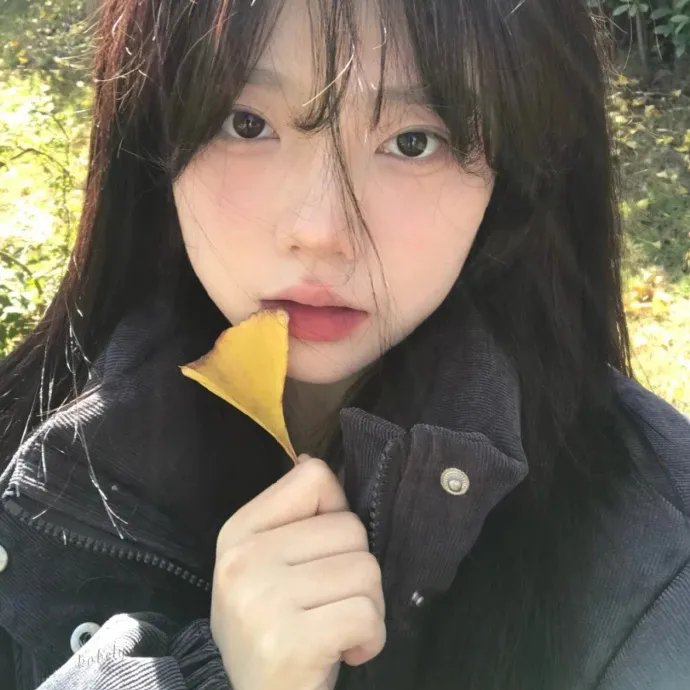 红色康乃馨